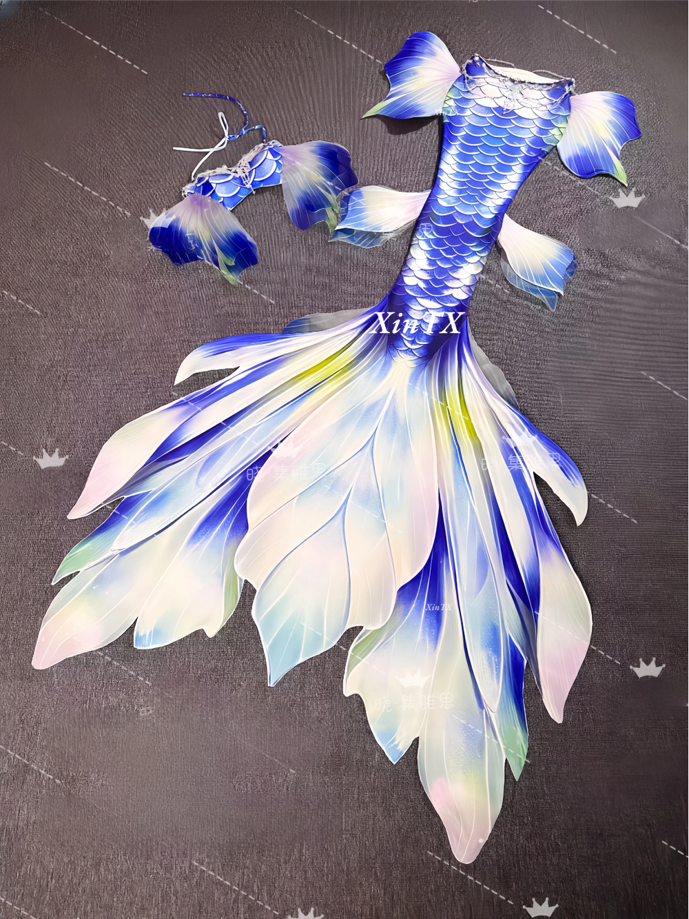 Aquarium & Marine Museum Universiti Malaysia Sabah Kota Kinabalu Sabah Photos - High-quality mermaid tail swimsuit custom sizes