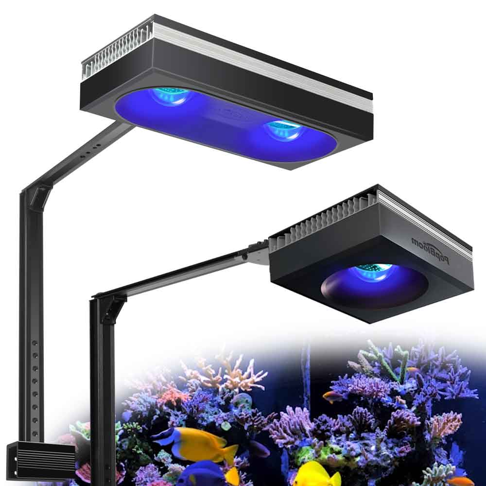 PopBloom RL90/RL180 WiFi Aquar - Marine X Aquarium recensie en prijs