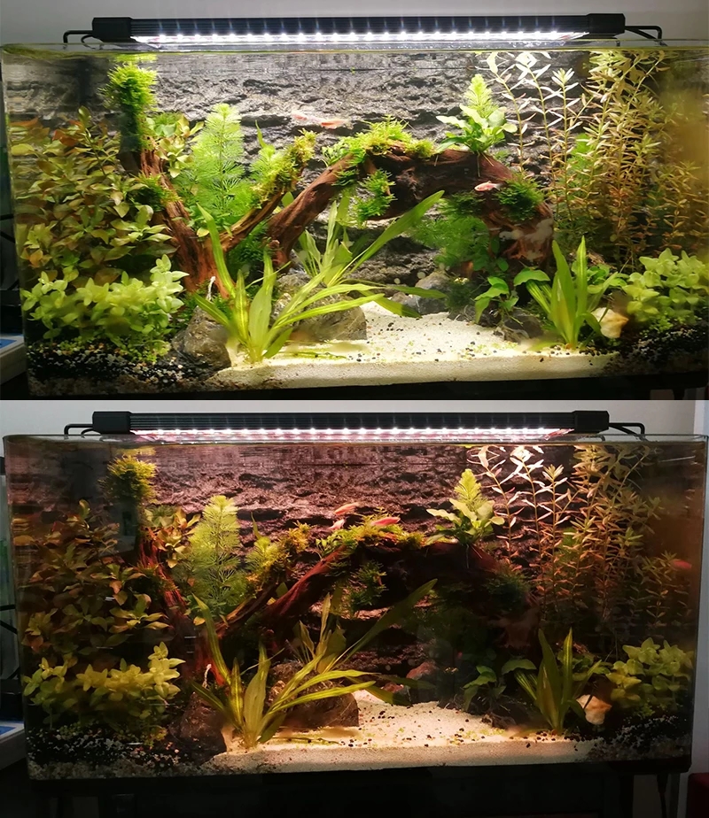 Aquarium LED Lighting 24/7 Hou - Marine Aquarium Hours recensie en prijs