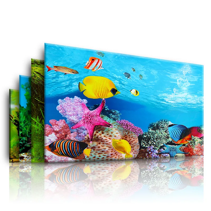 Background for Aquarium 3d  St - Marine Aquarium Aquascape recensie en prijs
