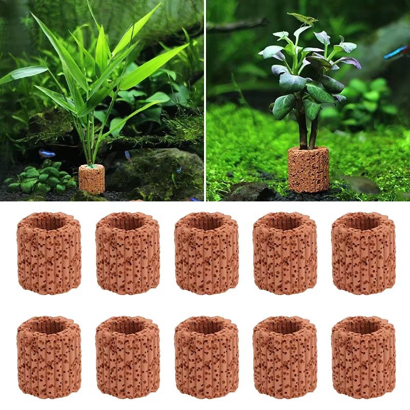 Aquatic Plant Fixed Ring for A - Marine Aquarium Aquascape recensie en prijs