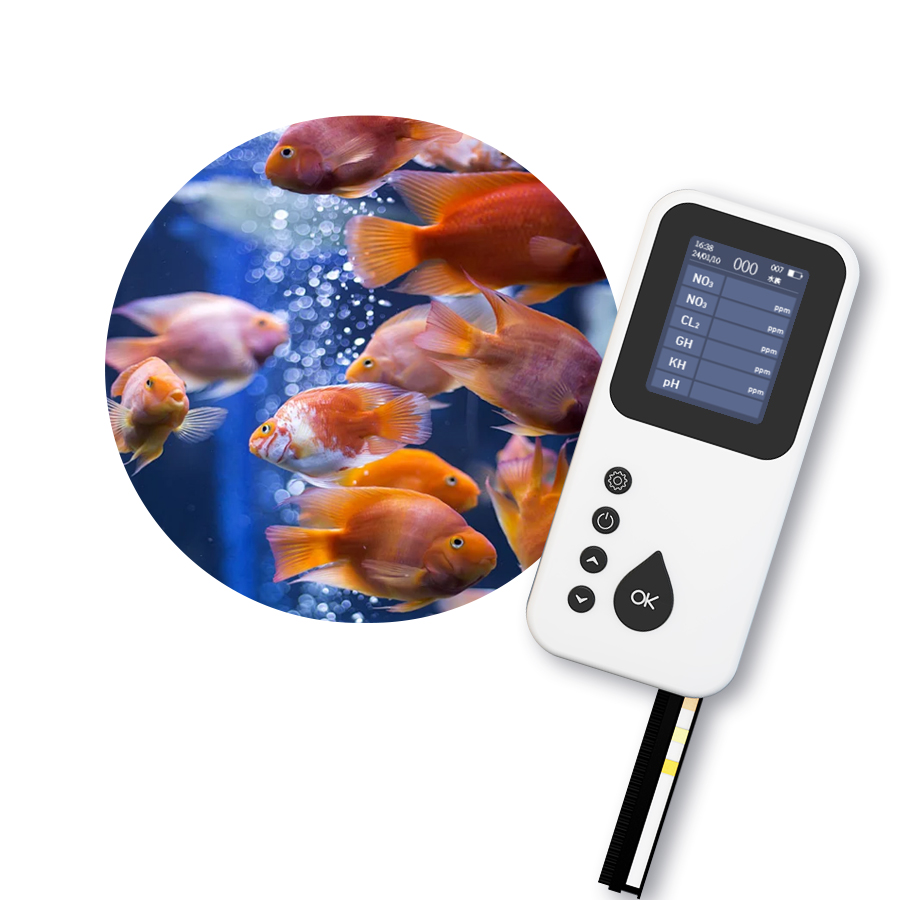 Portable TS-1000 Digital Water - Aquarium & Marine Museum Universiti Malaysia Sabah Kota Kinabalu Sabah Photos recensie en prijs