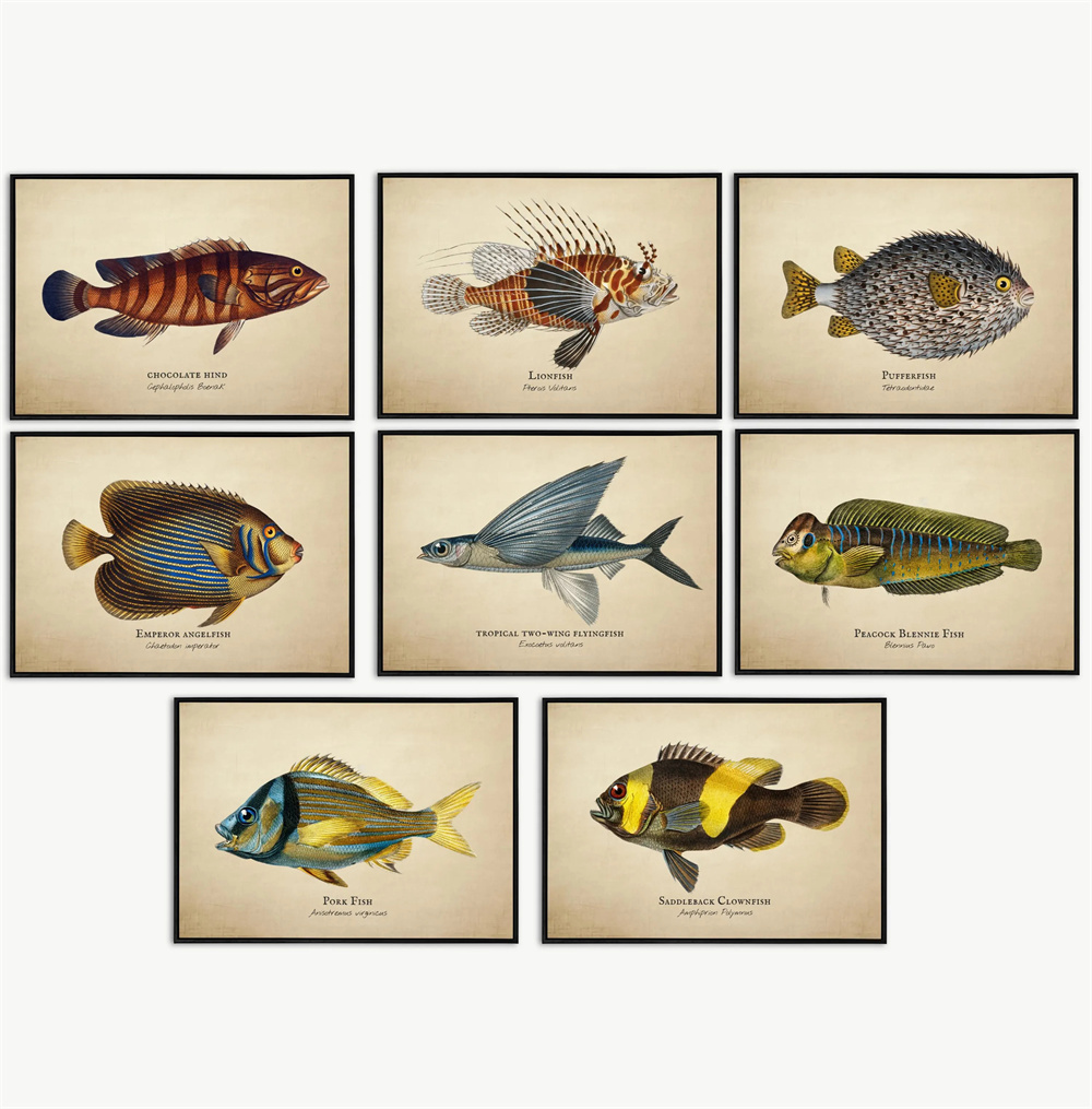 Vintage Pictures Tropical Fish - Aquarium Marine recensie en prijs