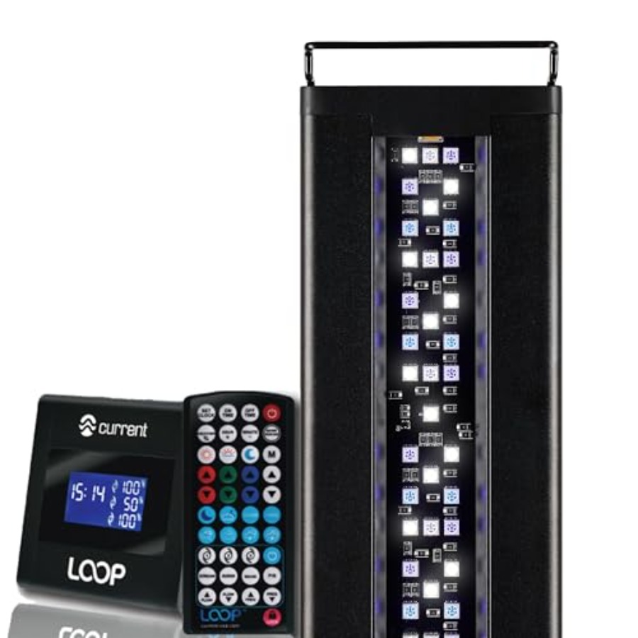 USA 24-36 Inch Orbit Marine LE - Marine Aquarium Hours recensie en prijs