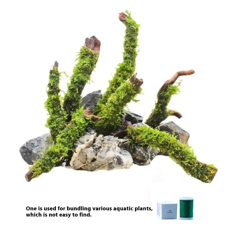 200M Naturally Degradable Moss - Marine Aquarium Aquascape recensie en prijs
