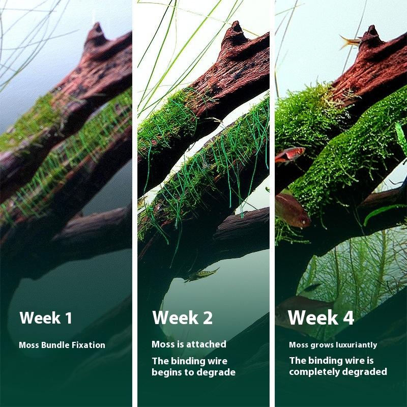 200M Naturally Degradable Moss - Marine Aquarium Aquascape recensie en prijs