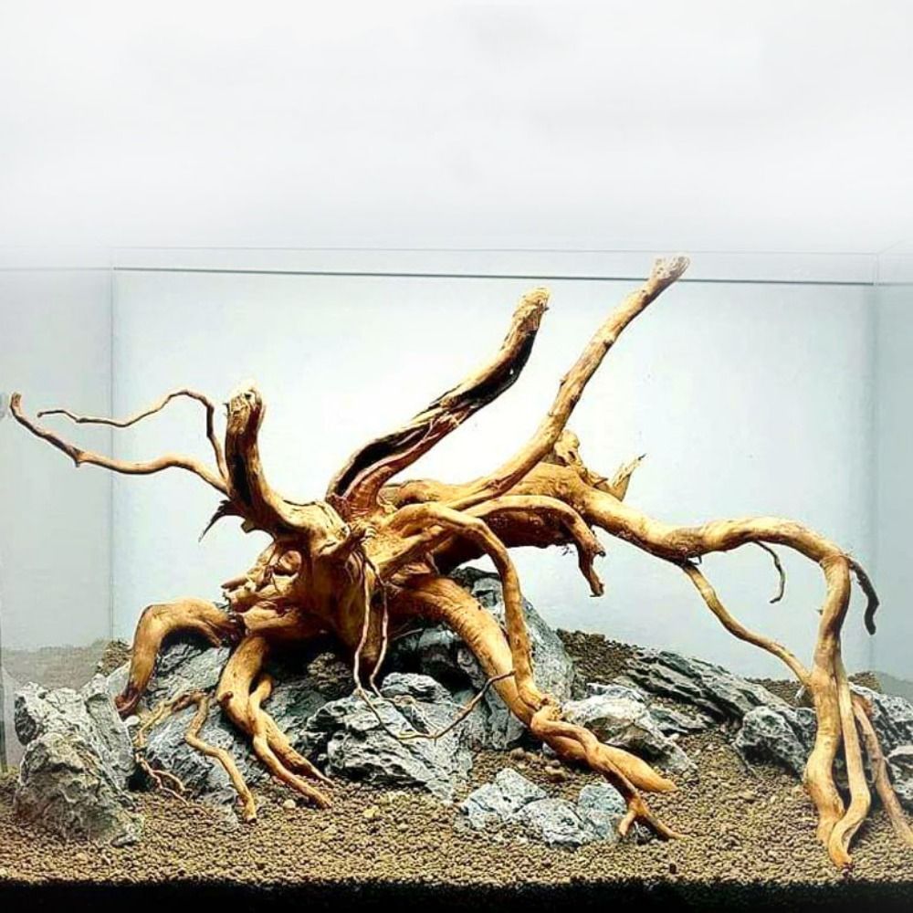 Natural Tree Trunk Aquarium De - Marine Aquarium Aquascape recensie en prijs