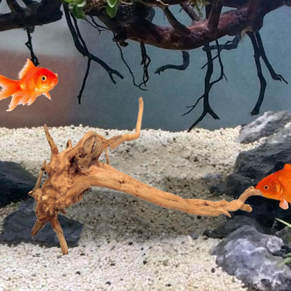 Natural Tree Trunk Aquarium De - Marine Aquarium Aquascape recensie en prijs