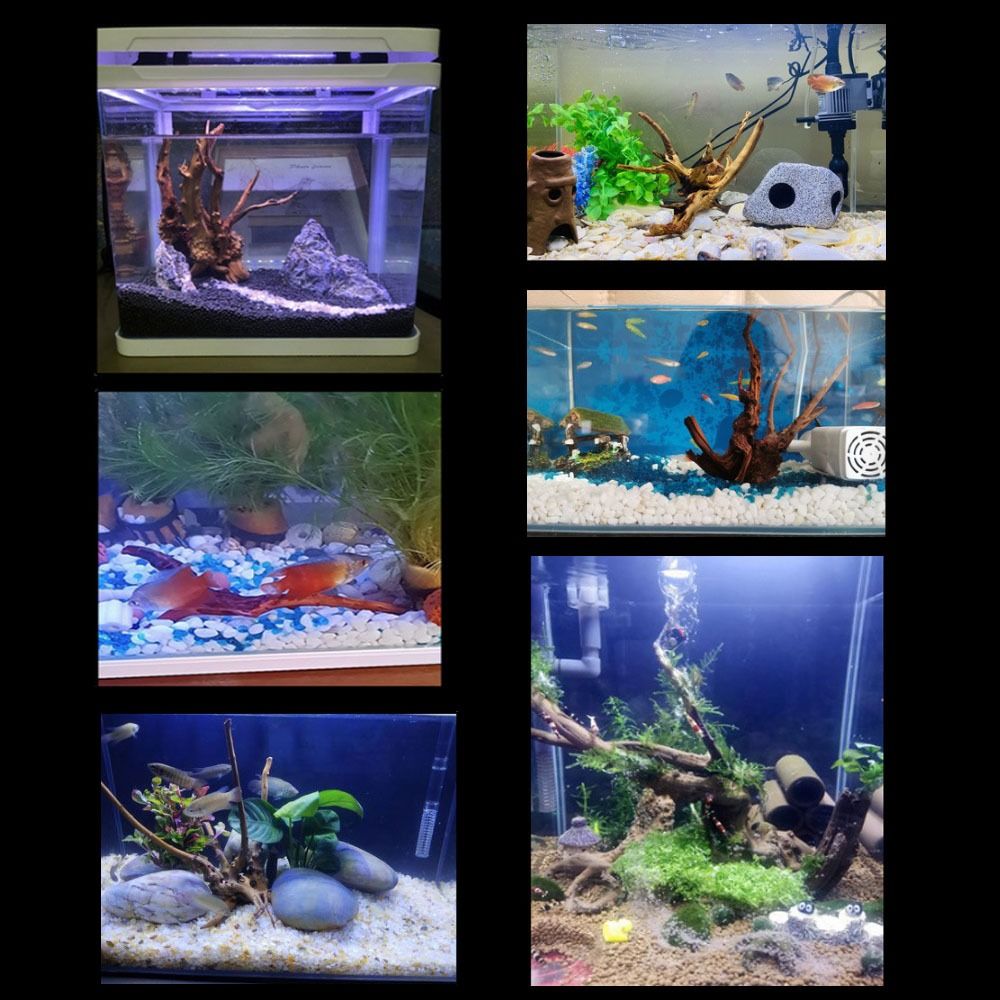 Natural Tree Trunk Aquarium De - Marine Aquarium Aquascape recensie en prijs