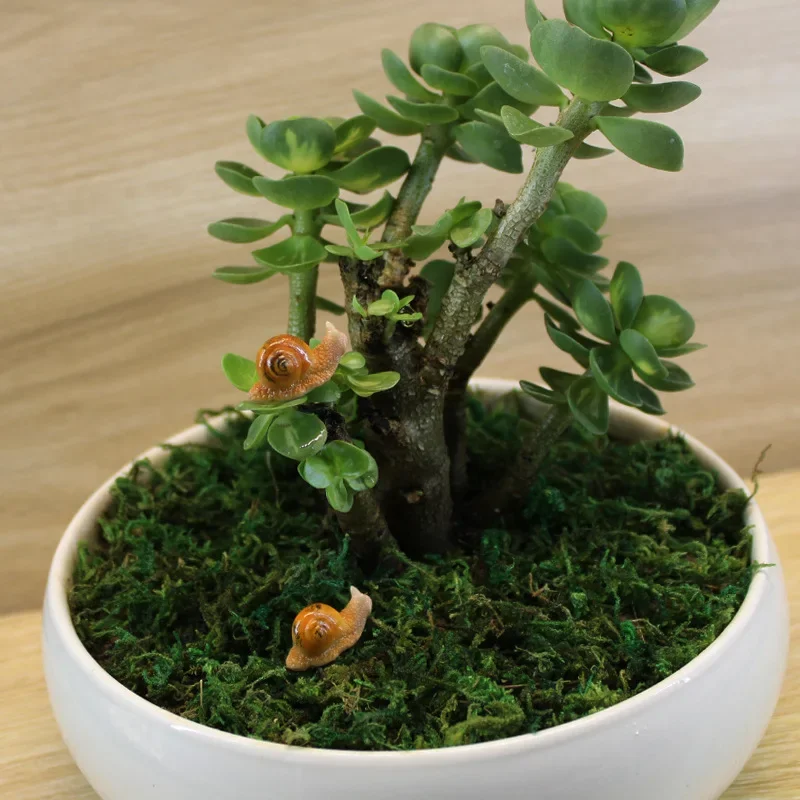 Kawaii Snail Figurines Artific - Marine Aquarium Aquascape recensie en prijs