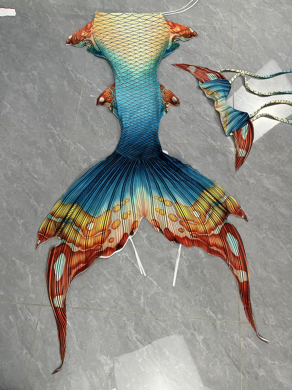 New Pattern Mermaid Tail Merma - Aquarium & Marine Museum Universiti Malaysia Sabah Kota Kinabalu Sabah Photos recensie en prijs