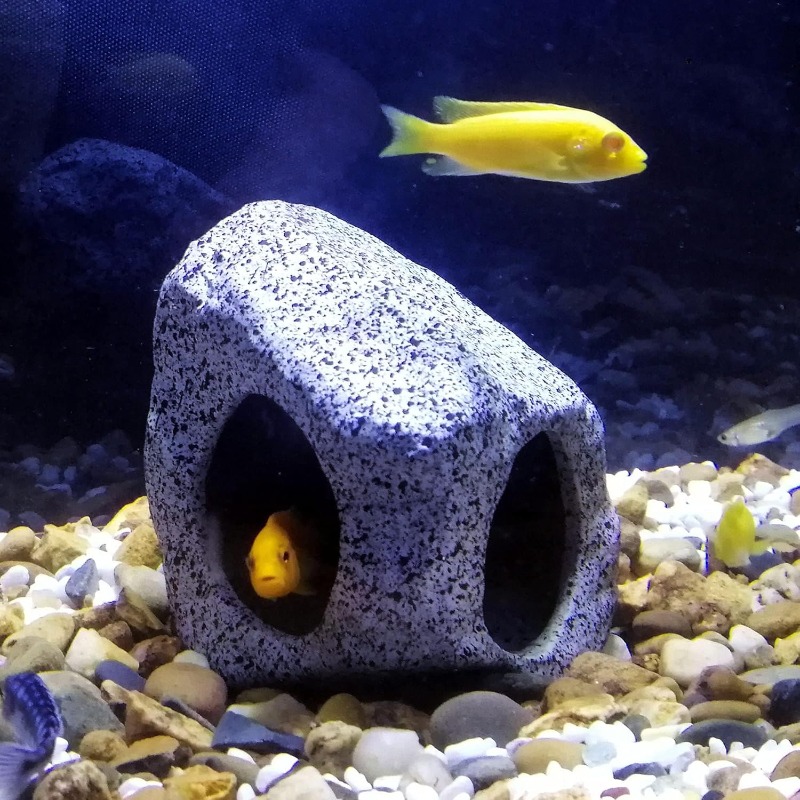 Fish Tank Cave Stone Landscapi - Marine Aquarium Aquascape recensie en prijs